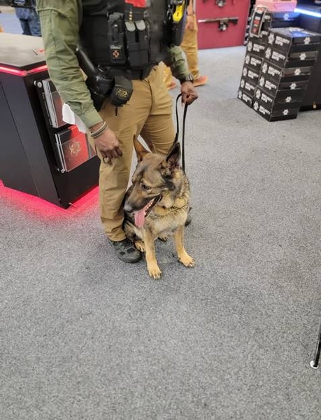 Dogs of NRA