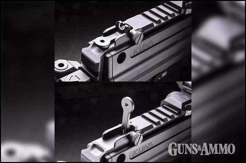 Springfield Armory Kina Pistol