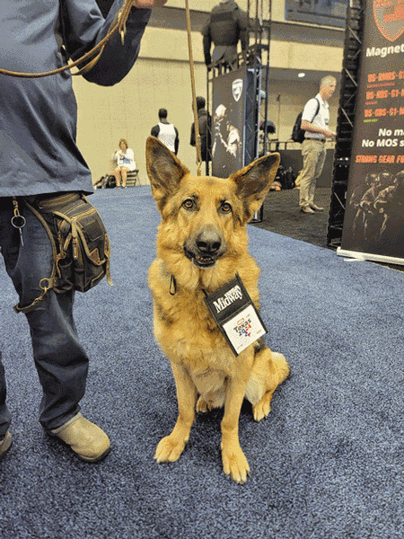 Dogs of NRA