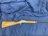 BL-22 in Maple, 22LR - 1 of 8