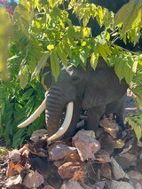 African Elephant Sculpture - 9 of 9