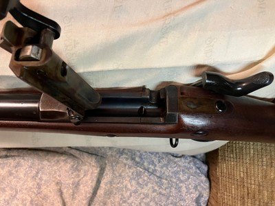 Springfield - Trap Door - 45 / 70 - Image 13 of 15
