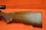 Winchester Pre 64 Model 70 Standard 243 Win Mfg. 1957, Steel Buttplate, Bueler Mounts, Excellent Condition, All Original - 2 of 17