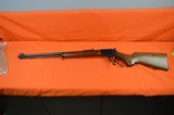 Marlin Golden 39A22 LR, Long or Short 24