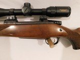 CZ 550 Safari Magnum - 9 of 15