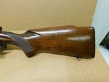 WInchester 70 (yr 1960) - 11 of 14
