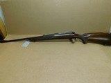 WInchester 70 (yr 1960) - 14 of 14