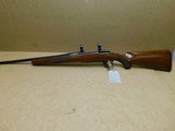 Ruger M77 - 5 of 5