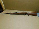 Ruger M-77
30-06 - 14 of 14
