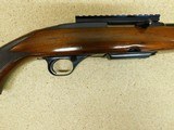 Winchester 100
243 - 3 of 13