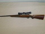 Winchester 70 Lightweight 243 - 6 of 15