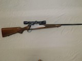 Winchester 70 Lightweight 243 - 1 of 15