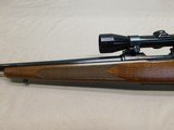 Winchester 70 Lightweight 243 - 10 of 15