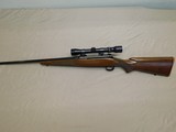 Winchester 70 Lightweight 243 - 7 of 15