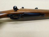 Ruger M-77, 270 Win - 11 of 13