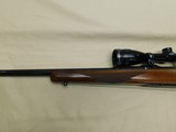 Ruger M77 MKII, 25-06 - 9 of 10