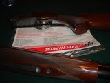 Winchester 30" 12 Ga. Diamond Grade - 13 of 15