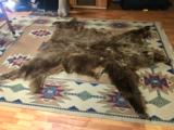 8 FT BC Grizzly - Full Hide - 3 of 3