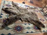 8 FT BC Grizzly - Full Hide - 2 of 3