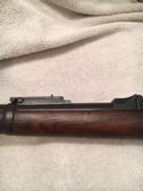 Springfield 1884 rifle - 9 of 15