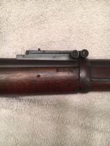 Springfield 1884 rifle - 14 of 15