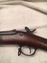Springfield 1884 rifle - 8 of 15