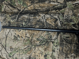 W.J Griffiths 8 Gauge Shotgun! MFG: 1887-1896 - 2 of 6