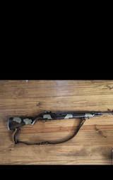 Springfield Armory M 1 A