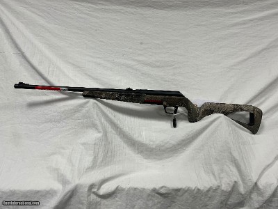 WINCHESTER XPERT STRATA 22LR