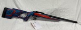 RUGER 10/22 22LR 2024 USA SHOOTING MODEL - 3 of 5
