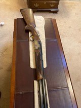 ASE Gold Sporting - 13 of 13