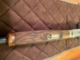 Beretta DT11 - 10 of 14