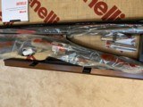 2025 Benelli Super Sport Performance Shop AI - 12 of 14