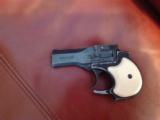 HIGH STANDARD DERRINGER, 22 MAGNUM, BLUE, 2 SHOT, GOOD COND. - 2 of 2