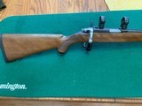 RUGER 77, 17 HMR CAL. 22” BARREL, WALNUT STOCK, BLUE RECEIVER, COMES WITH RINGS, 99+% COND. - 2 of 5