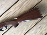 REMINGTON NYLON 10, 22LR. SINGLE SHOT, VERY HARD TO FIND - 2 of 8