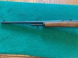 MARLIN 1894 CL, 25-20 CAL. 99+% COND. - 5 of 5