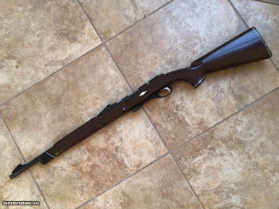 REMINGTON NYLON 11, BOLT ACTION CLIP FED 22 LR., EXC. COND.