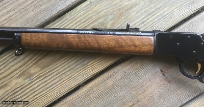 MARLIN ORIGINAL GOLDEN 39 MOUNTIE 22 CAL. 20” MICRO-GROOVE BARREL, JM STAMPED, STRAIGHT STOCK, HAMMER EXTENSION, 99% COND. APPEARS UNFIRED - Image 3 of 9