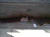 Beretta sporting (green) O/A - 2 of 4