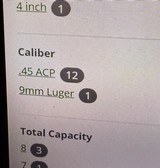 **MINT** CZ Dan Wesson Arms VIGIL CCO 4.25