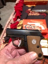 Colt 1908 25 cal semi- auto junior - 6 of 6