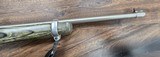 Ruger 10/22 Stainless Synthetic Laminate with Fiber optic sights - 8 of 8