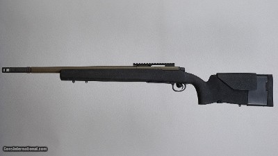 Bushmaster/Remington Chandler .308 Winchester