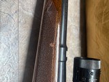Winchester Pre 64 - 264 Win Mag Standard Rifle ( Westerner) - 7 of 15