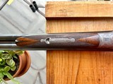 J.P. Sauer & Sons, Model 14, 1910-1914, 12gs SxS - 12 of 13