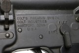 Colt SP1 Semi Auto Rifle - 22 of 23