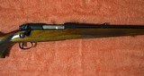 Winchester Model 70 Standard Weight .243" 1957 " - 7 of 8