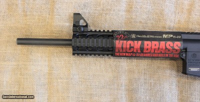 Smith & Wesson M&P 15-22 in .22LR - Image 4 of 12