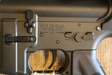 Colt M-4 Carbine in .22LR - 12 of 12